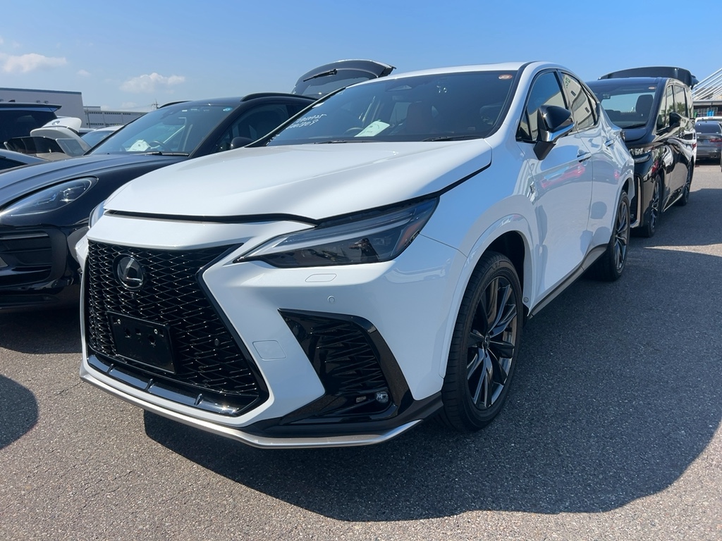 Lexus NX350 F Sport 2023 White — SA 2293