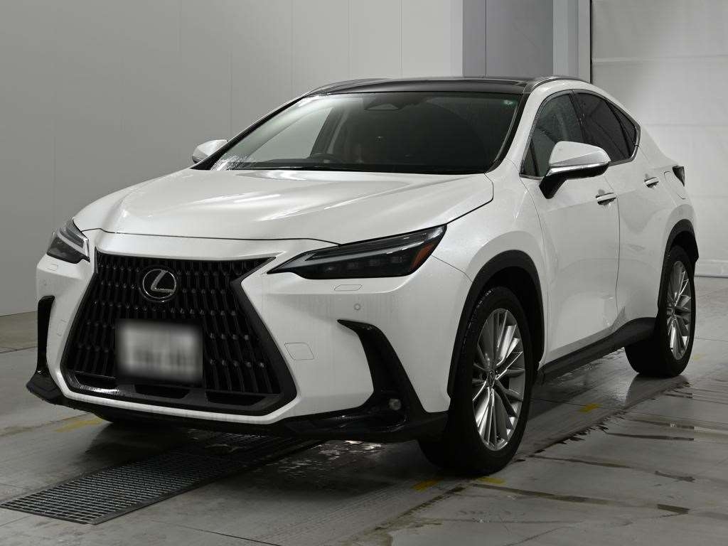 LEXUS NX250 VERSION L — SA 2433