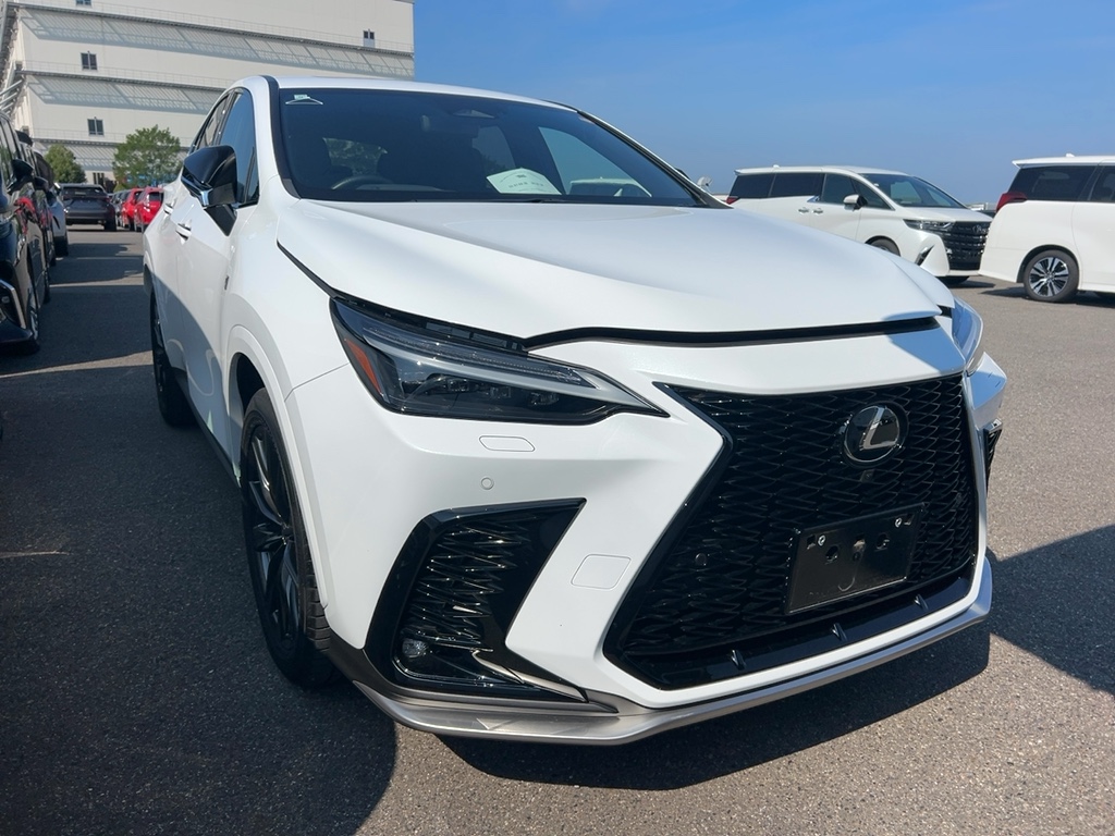 Lexus NX350 F Sport 2023 White — SA 2294